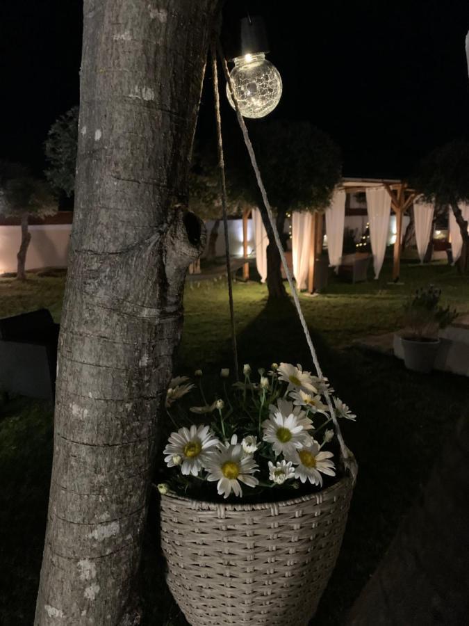 Sirios Διαμέρισμα *