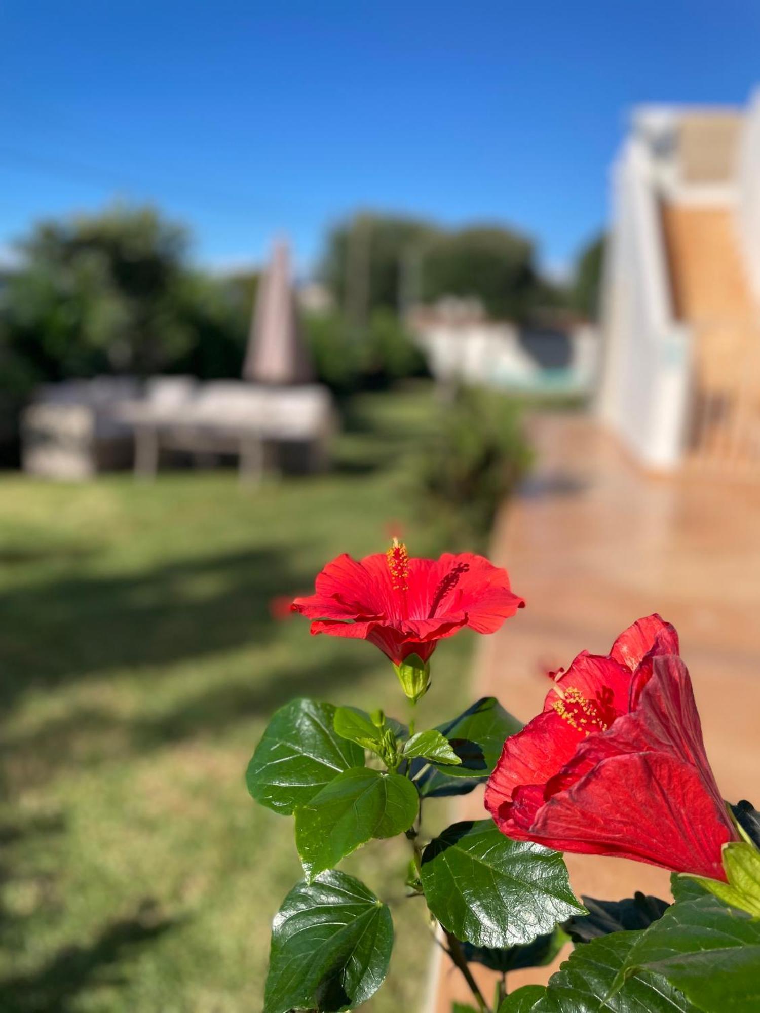 Sirios Acharavi (Corfu)